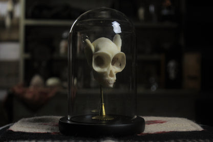 Veritable Fey Skull Set
