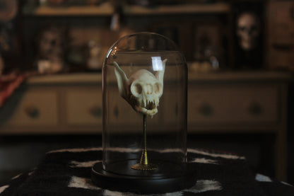 Veritable Fey Skull Set