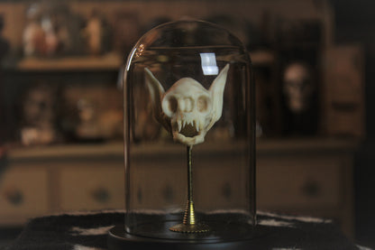 Vexing Skull Set