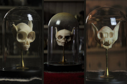 Vexing Skull Set