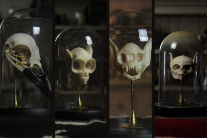 Veritable Fey Skull Set